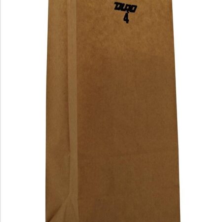 Paper Bag #4